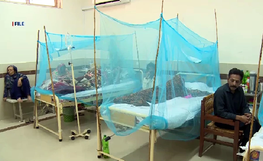 Dengue cases on the rise in Punjab & KPK