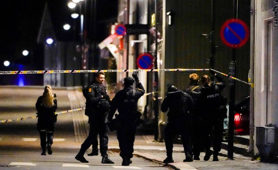 Man armed with bow and arrow kills five people in Norway attacks