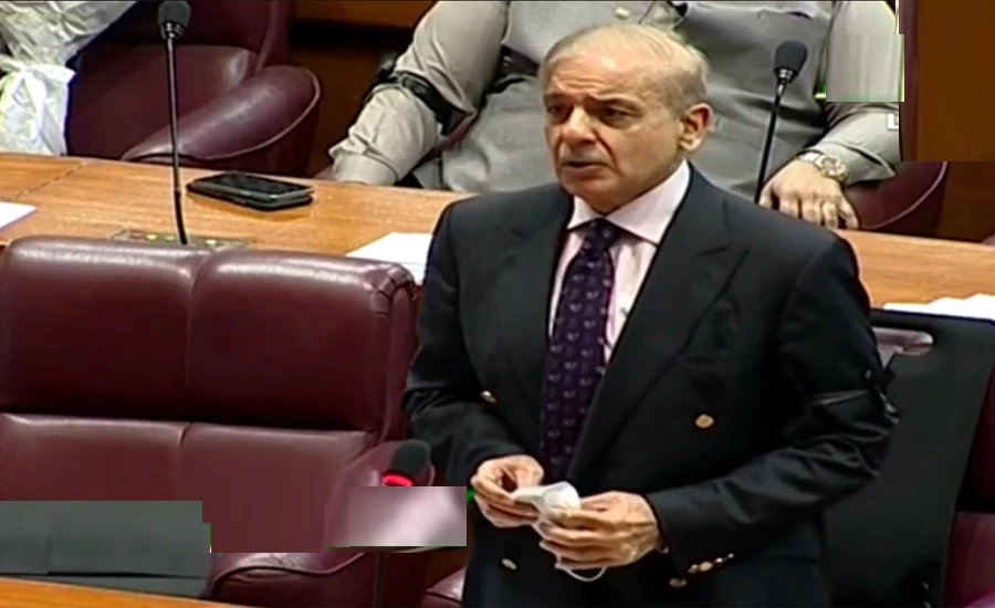 Govt has become a heavy burden on country, says Shehbaz Sharif