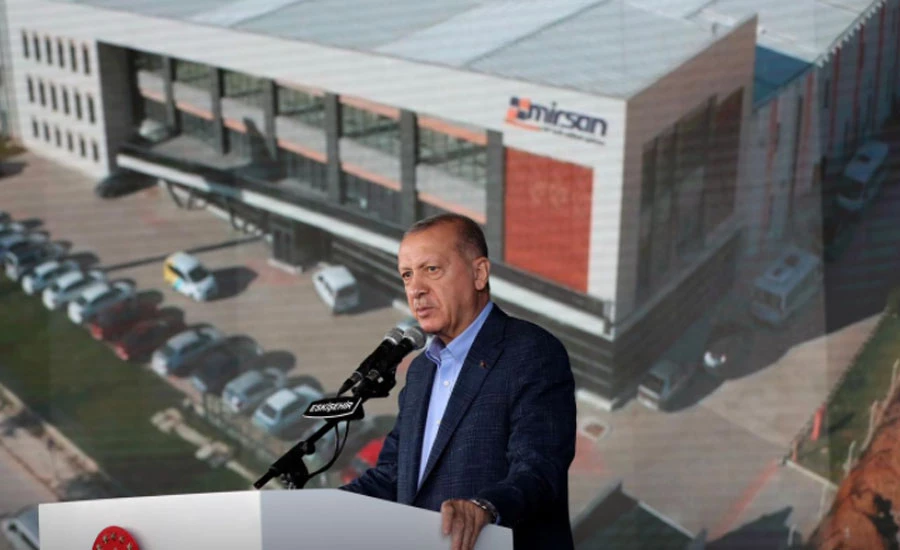 Turkey to expel US envoy and nine others, Erdogan says