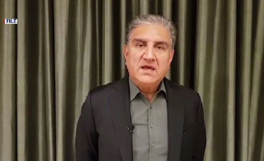 United Nations best organization to address common issues faced by humanity, says FM Qureshi