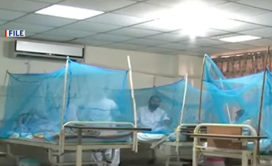 500 cases of dengue reported in Punjab during last 24 hours