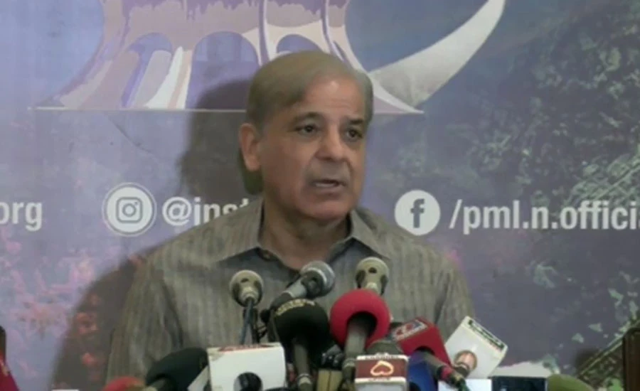 Shehbaz Sharif terms possible increase in POL products as economic murder of people
