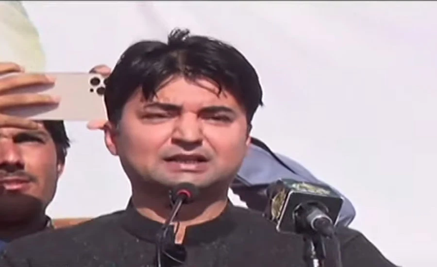 Opposition rejected gang that only gives dates: says Murad Saeed