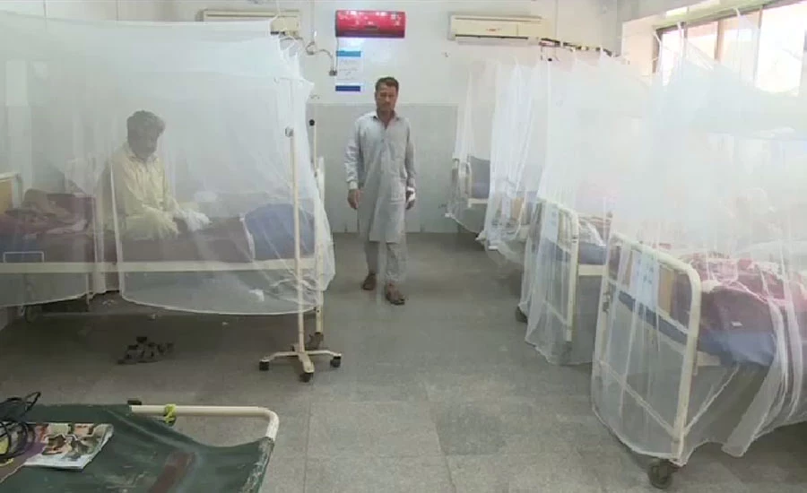 44 new dengue cases reported in the twin cities during last 24 hours