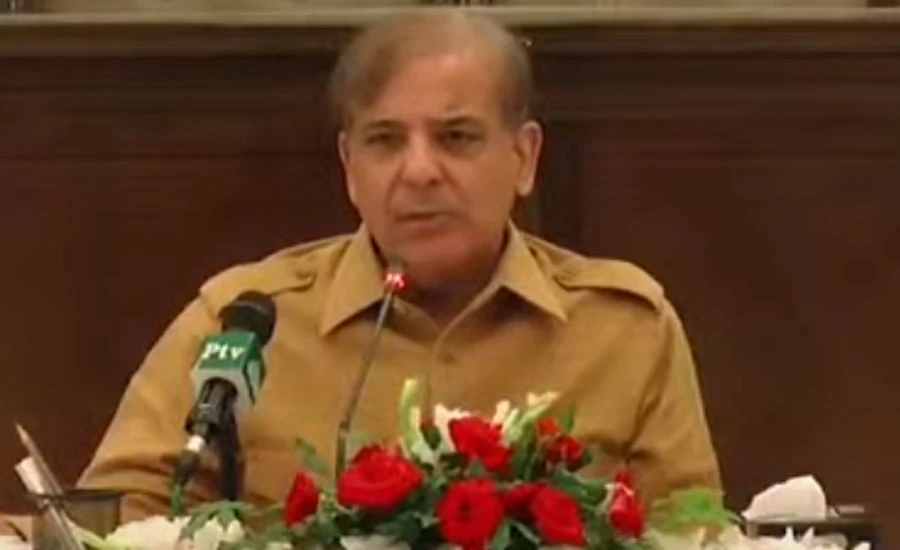 Gas crisis occurred due to criminal negligence, corruption of govt: Shahbaz Sharif