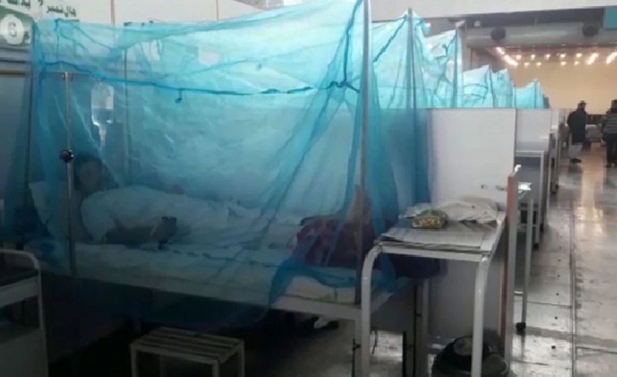 Dengue fever kills two people in Punjab, 51 new cases reported in KPK