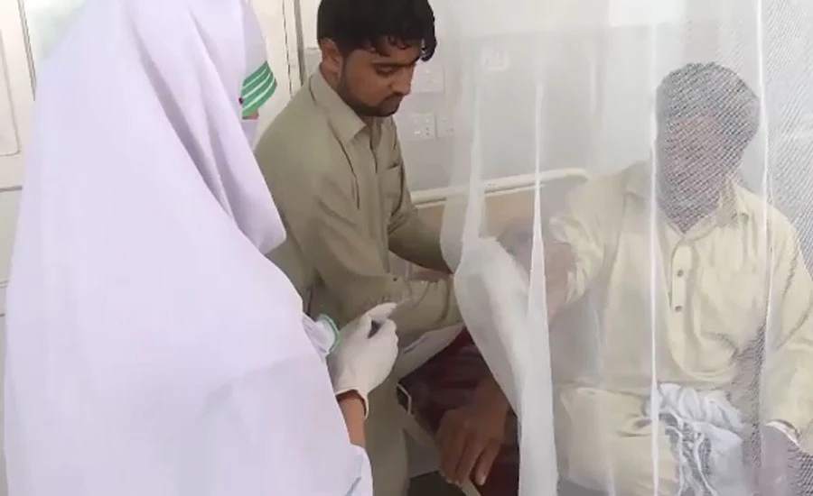 Dengue fever claims 10 lives in KPK, four in Punjab