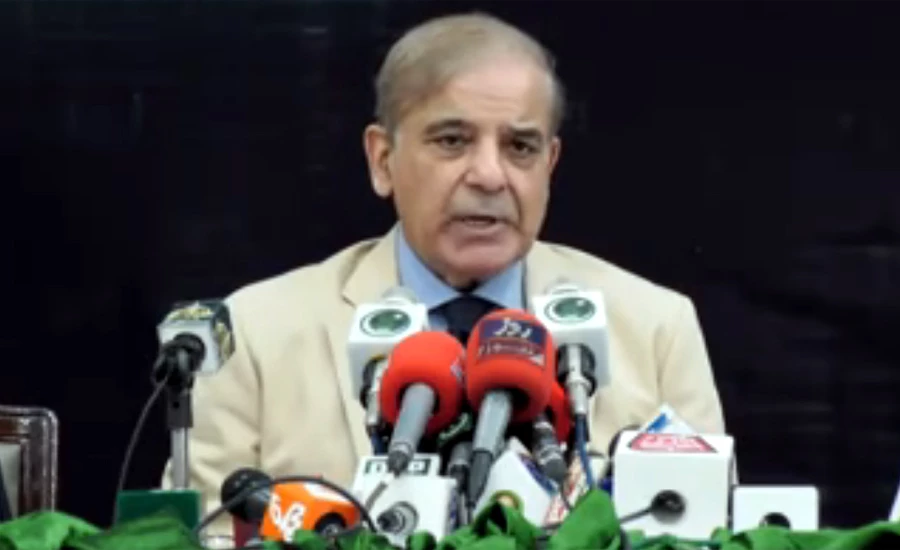 Historical increase in dollar is a sign of economic destruction: Shehbaz Sharif