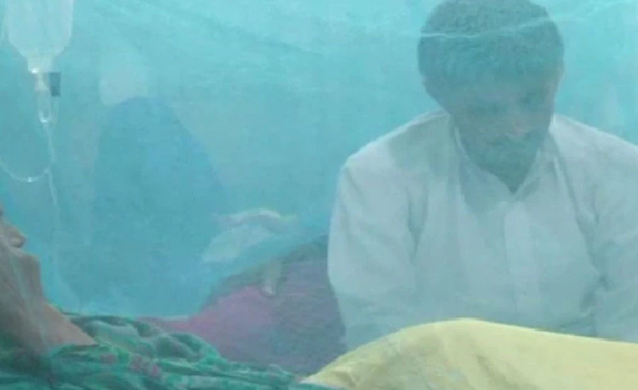Dengue fever claims two more lives in Punjab during last 24 hours