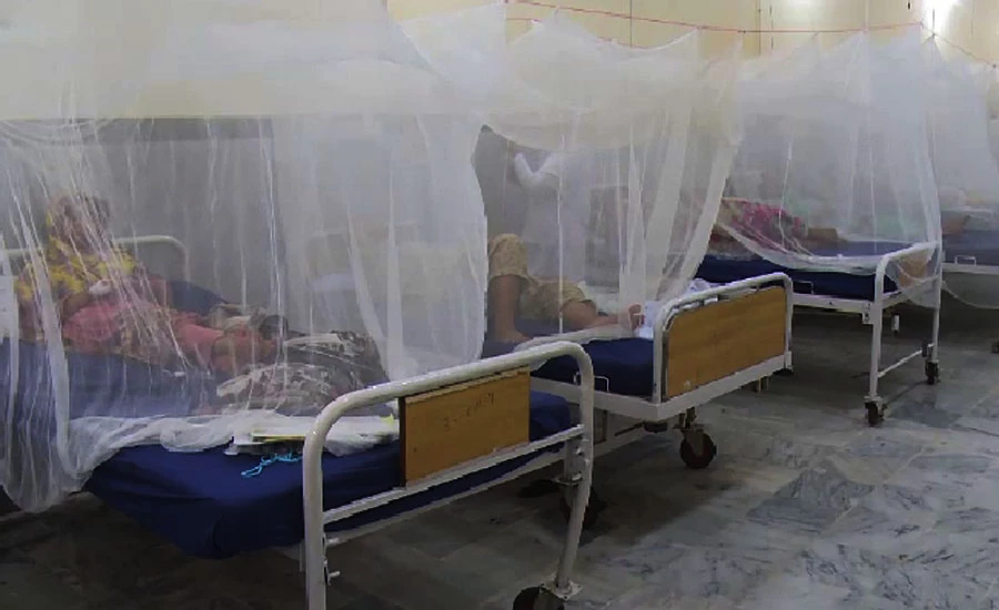 Dengue fever claims 10 more lives in KPK during last 24 hours