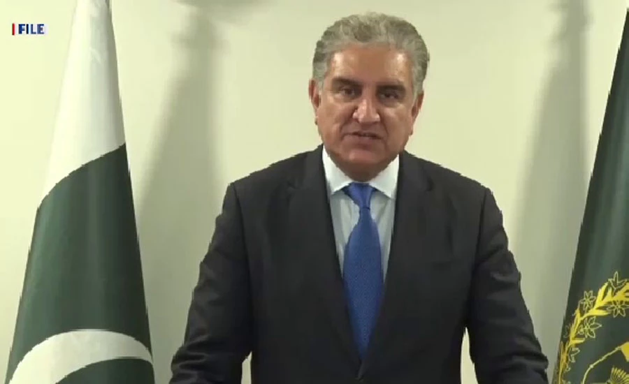 Peace in Afghanistan is in the interest of world, says Shah Mehmood Qureshi