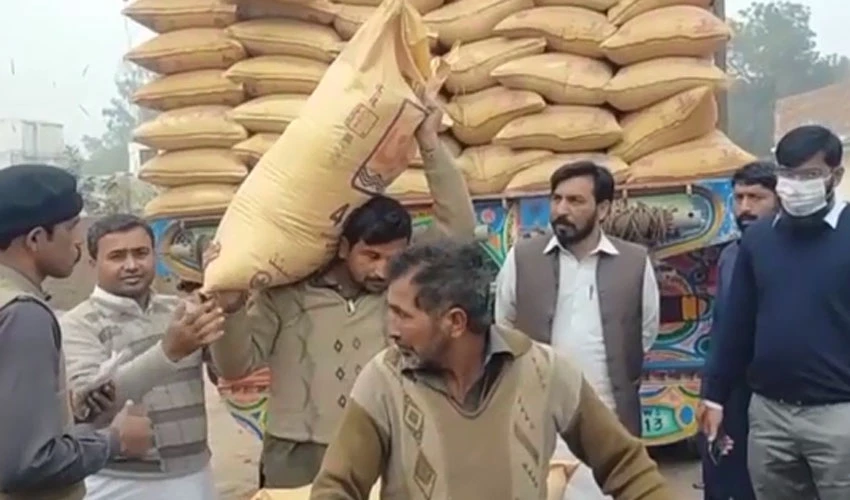 Farmers suffer as Urea fertilizer crisis intensifies in Southern Punjab