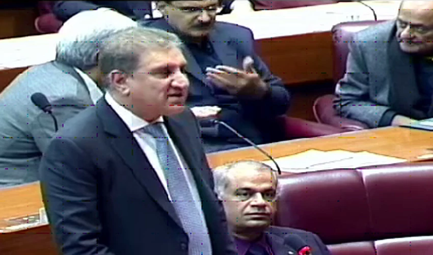 FM Qureshi says there is national consensus over Pakistan's nuclear programme