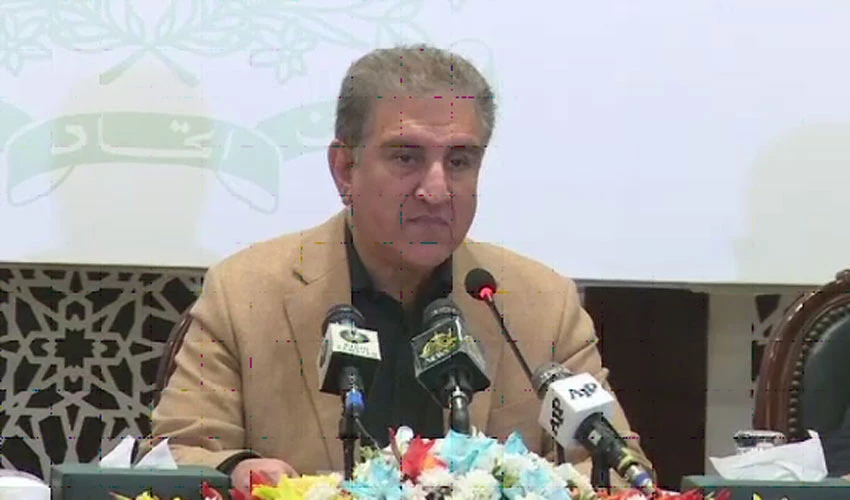 Our efforts for peace in Afghanistan will continue, says FM Qureshi