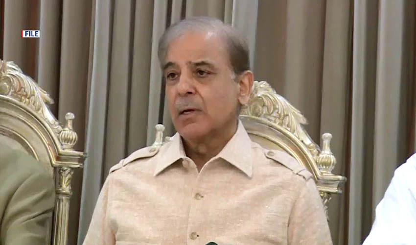 International organization has testified for second time that government is a thief: Shehbaz Sharif