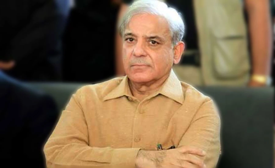 Transparency International report is announcement of system's collapse: Shehbaz Sharif