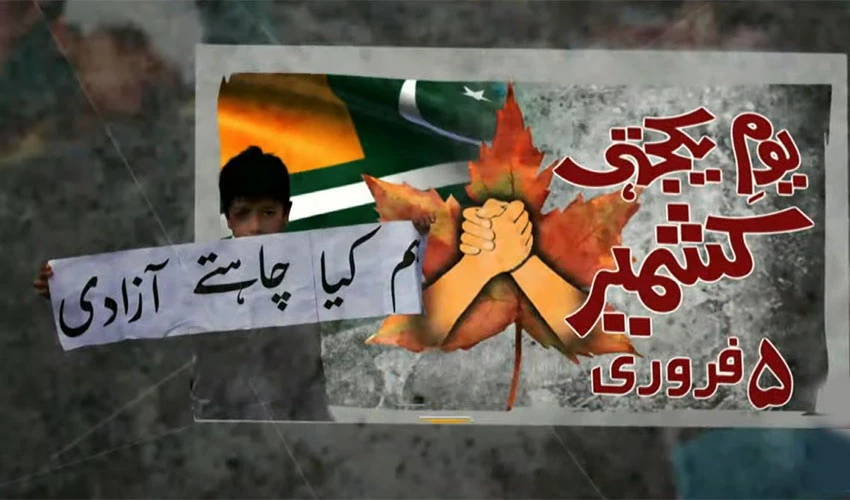 Kashmir Solidarity Day observed across country