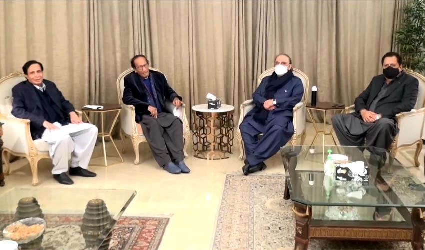 Asif Zardari, Chaudhary brothers discuss political situation