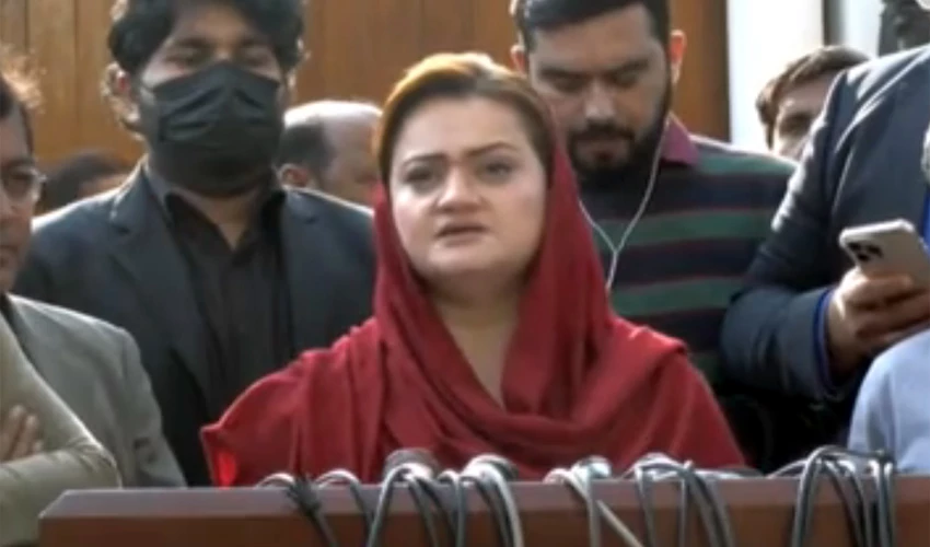 Govt is worried and opposition is its paradigm from dawn to dusk: Marriyum Aurangzeb
