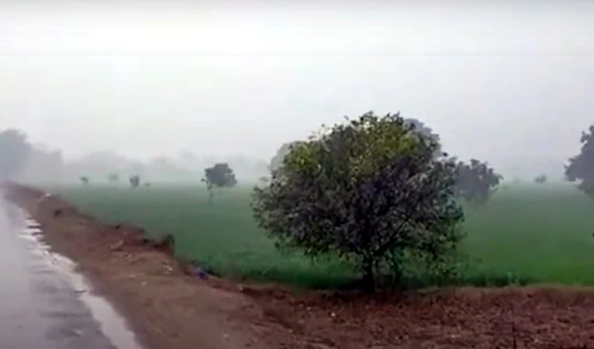 Loss of crops feared as several Punjab cities receive rain