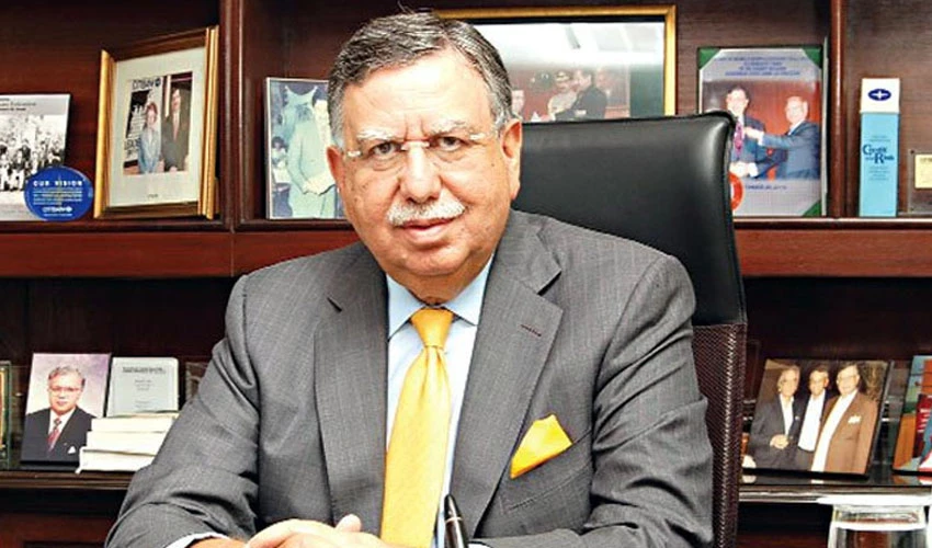 FATF kept Pakistan in grey list because of pressure of bigger powers: Shaukat Tarin