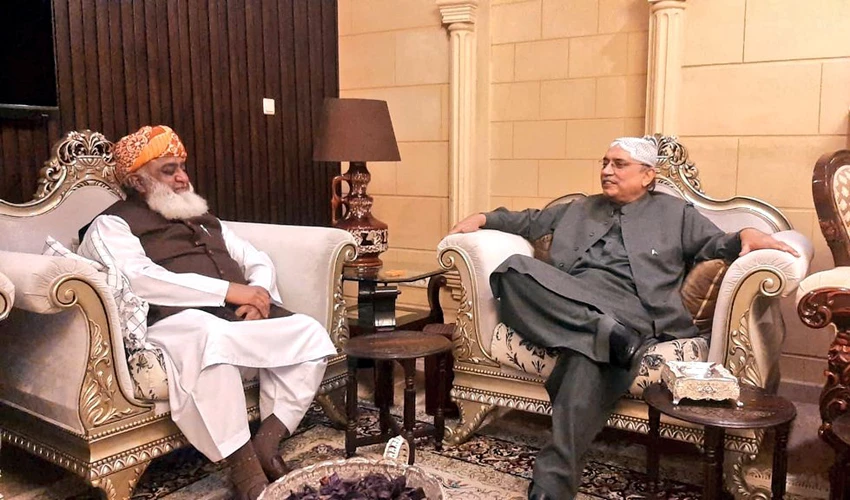 Asif Zardari, Maulana Fazalur Rehman discuss no-confidence motion