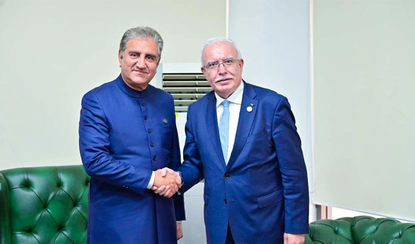 Foreign Minister meets his counterpart of Palestine