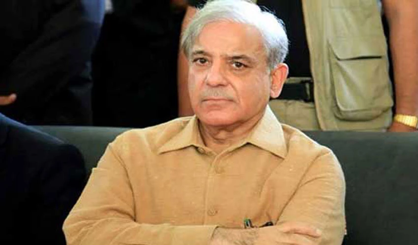 Give last push to those who influenced torment of inflation: Shehbaz Sharif