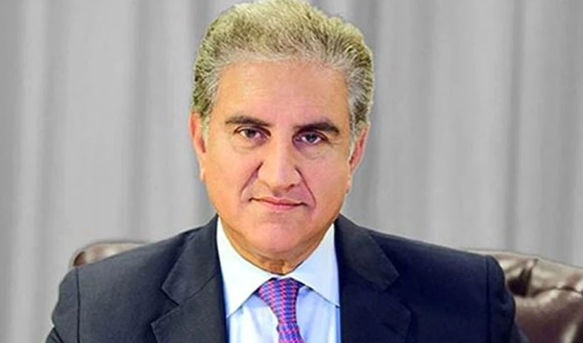 Nation doesn't want any foreign interference in internal affairs of Pakistan: Qureshi