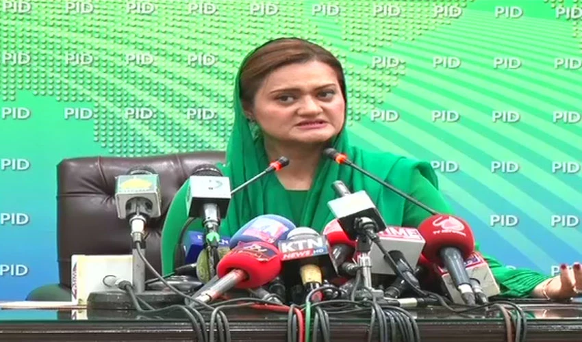 PM has rejected summary seeking increase in prices of POL products: Marriyum