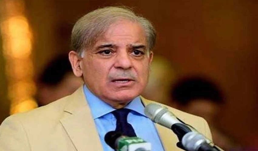 PM Shehbaz Sharif seeks EAC advice to deal with political instability, weak economic management