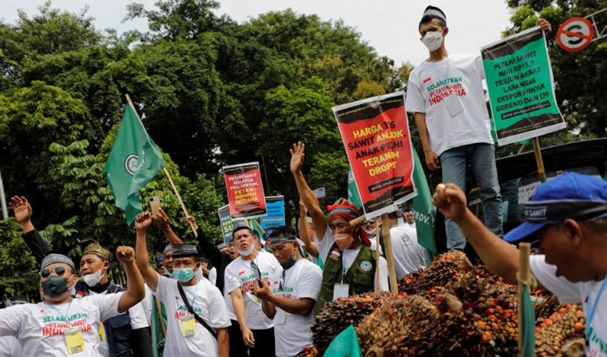 Indonesian farmers protest against rising cost of palm oil export ban