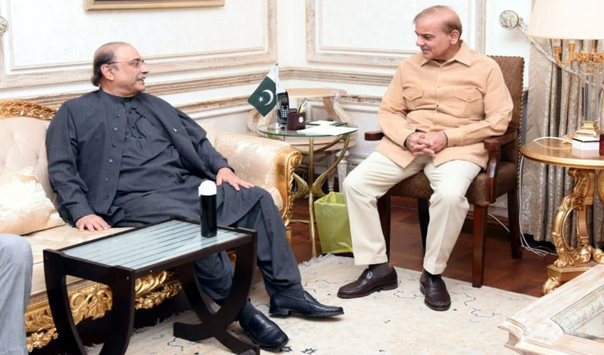 PM Shehbaz Sharif, Asif Zardari discuss political and economic situation