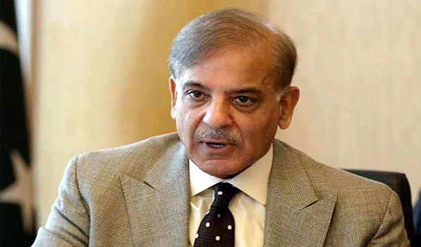 PM Shehbaz Sharif takes notice of fire erupted in Margalla Hills