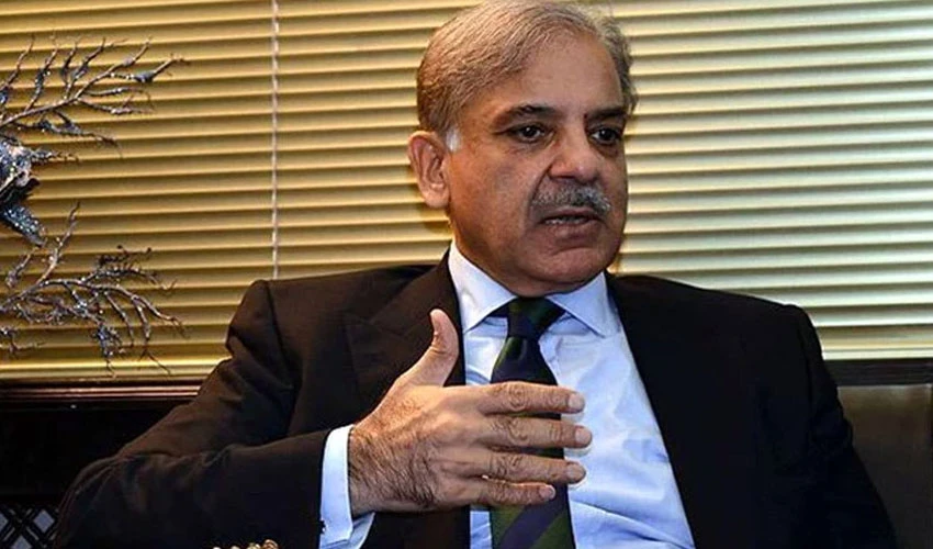 PM Shehbaz Sharif urges world to take note of Indian govt's mistreatment of political prisoners in IIOJK