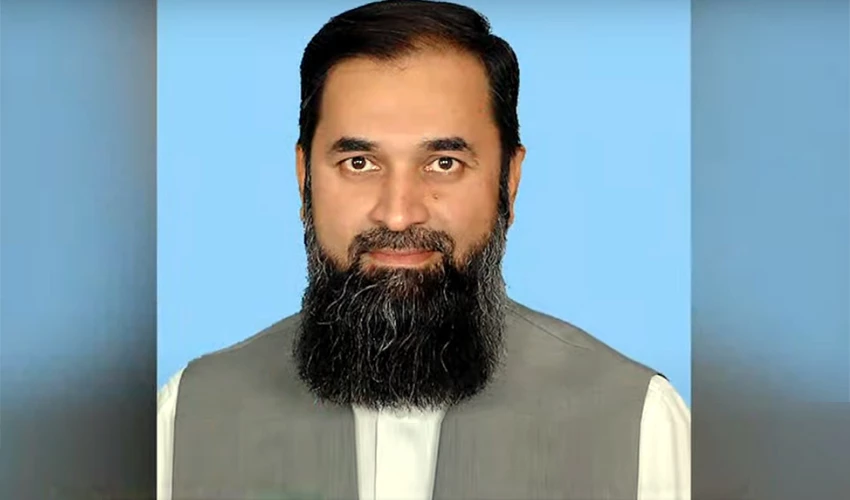 PML-N decides to appoint Baleeghur Rehman as Punjab governor