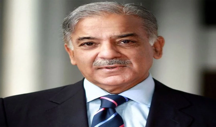 Prime Minister Shehbaz Sharif visits different areas of Lahore without protocol