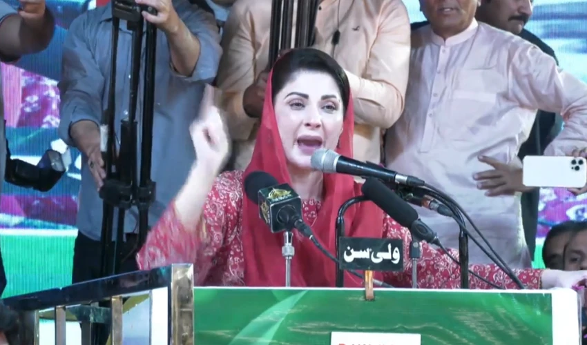 Should we remain in government or quit it? Maryam Nawaz questions workers