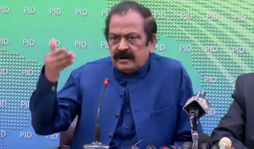 We have offered PTI to hold gathering at venue for Tableeghi Jamaat: Rana Sanaullah