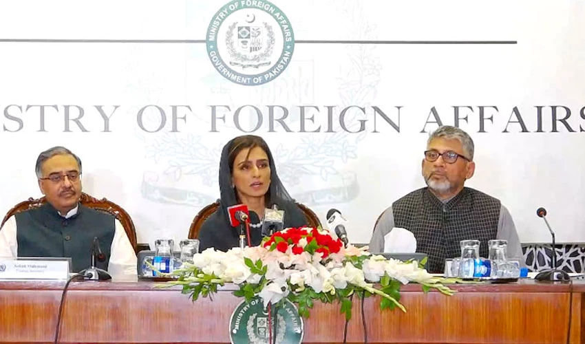 Hopefully Pakistan will exit FATF grey list by October, says Hina Rabbani Khar