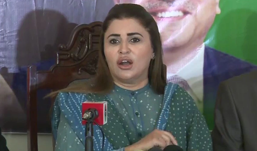 Liars fooled people with their lies: Shazia Marri