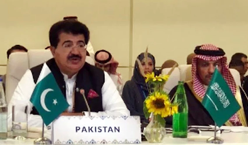 Sanjrani stresses enhanced cooperation for regional growth and prosperity