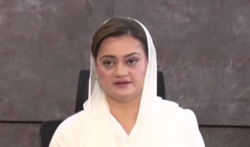 Committee formed on implementation of Article 6, says Marriyum Aurangzeb