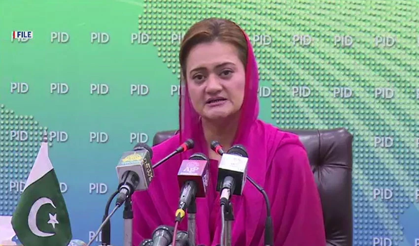 No one will be allowed to undermine constitution, says Marriyum Aurangzeb