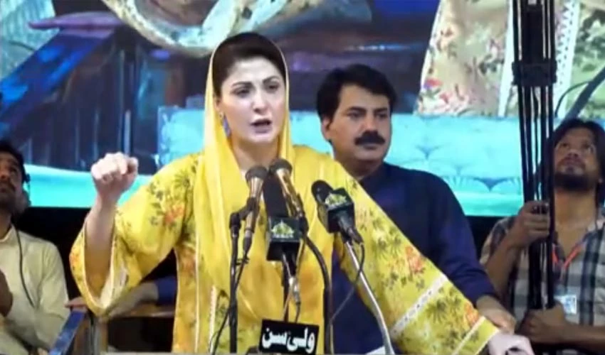 PML-N hasn't forgotten treatment meted out to them, tweets Maryam Nawaz