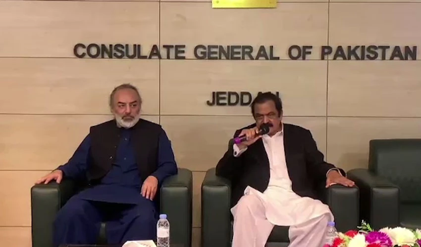 Modalities being finalized to enable overseas Pakistanis to cast their votes, says Rana Sanaullah