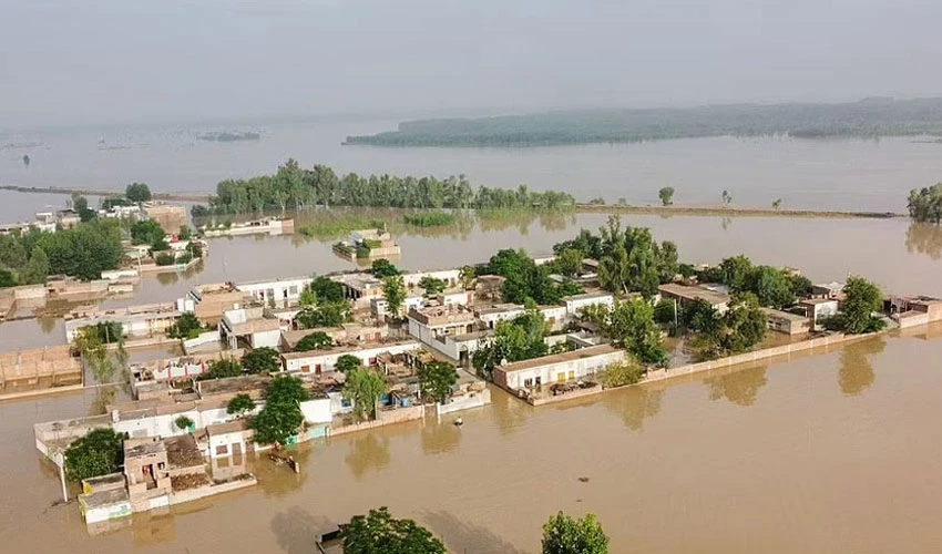 Monsoon rains, floods death toll reaches 1,033: NDMA