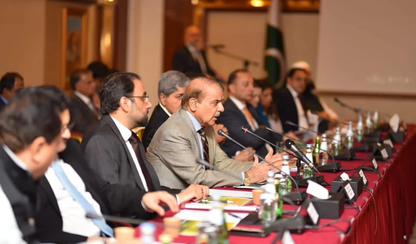 PM Shehbaz Sharif assures full facilitation to Qatar Investment Authority