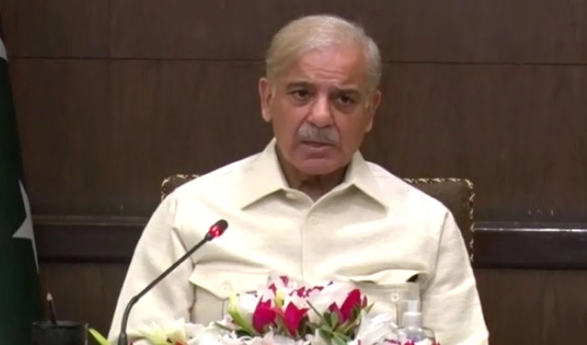 PM Shehbaz Sharif thanks friendly countries for helping flood victims